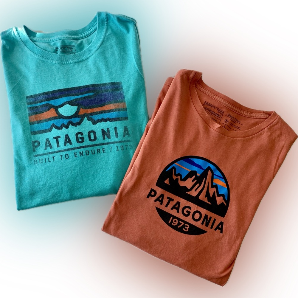 Bundle of 2 Men’s Patagonia T-shirts